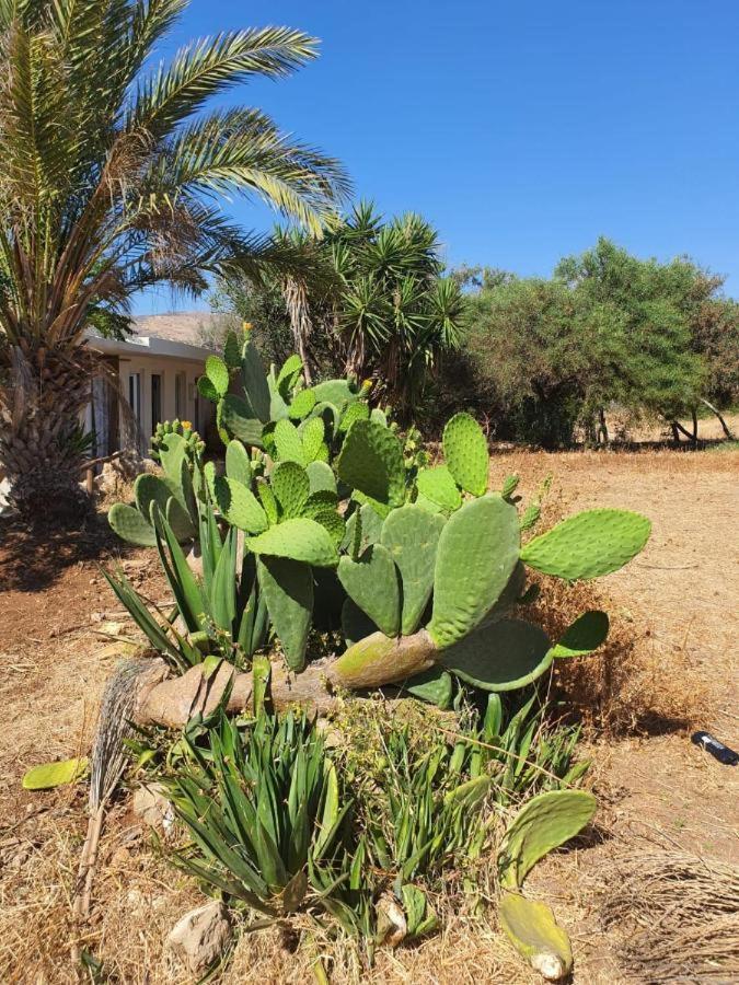Mediterranean Sunset 2 Bedroom Bungalow with Breathtaking Sea Views