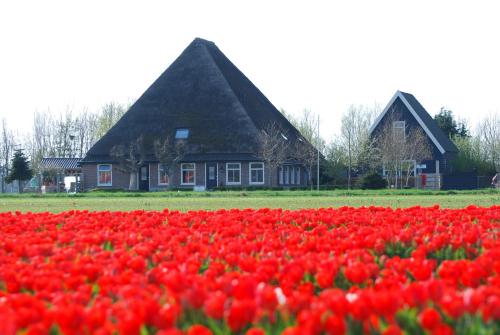 B&B Idylle aan Zee incl 2 Wellnessstudios — 4-Star Luxury Hotel in Schagen, Netherlands