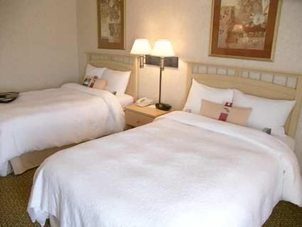 Hampton Inn Dublin - photo 6