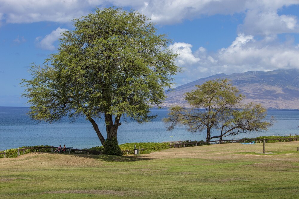 Maui Parkshore #212 - photo 7
