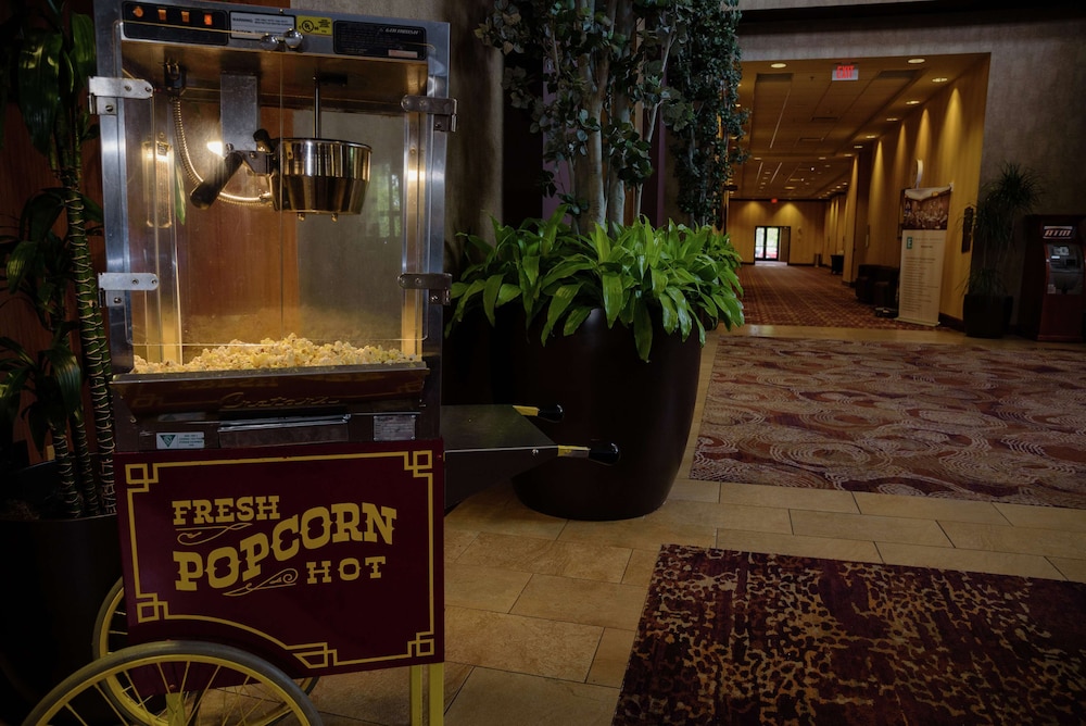 Embassy Suites by Hilton Minneapolis North - photo 42