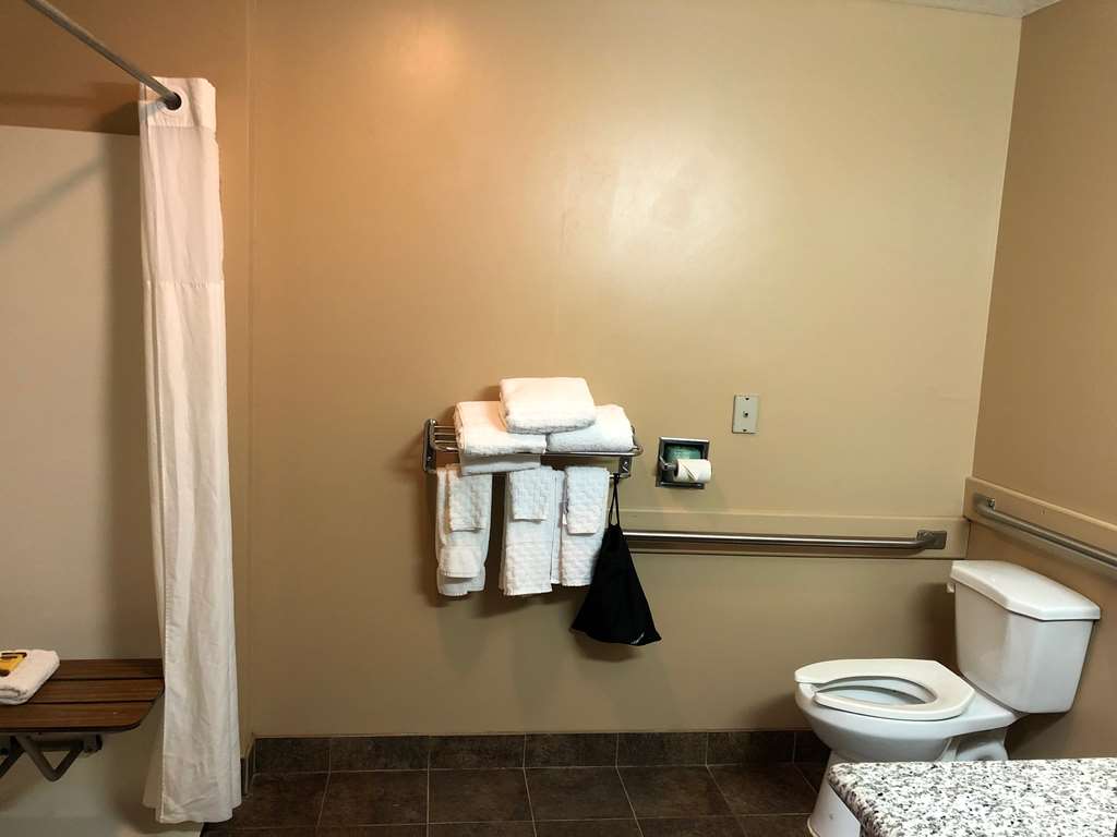 Best Western Plus Coldwater Hotel - photo 33