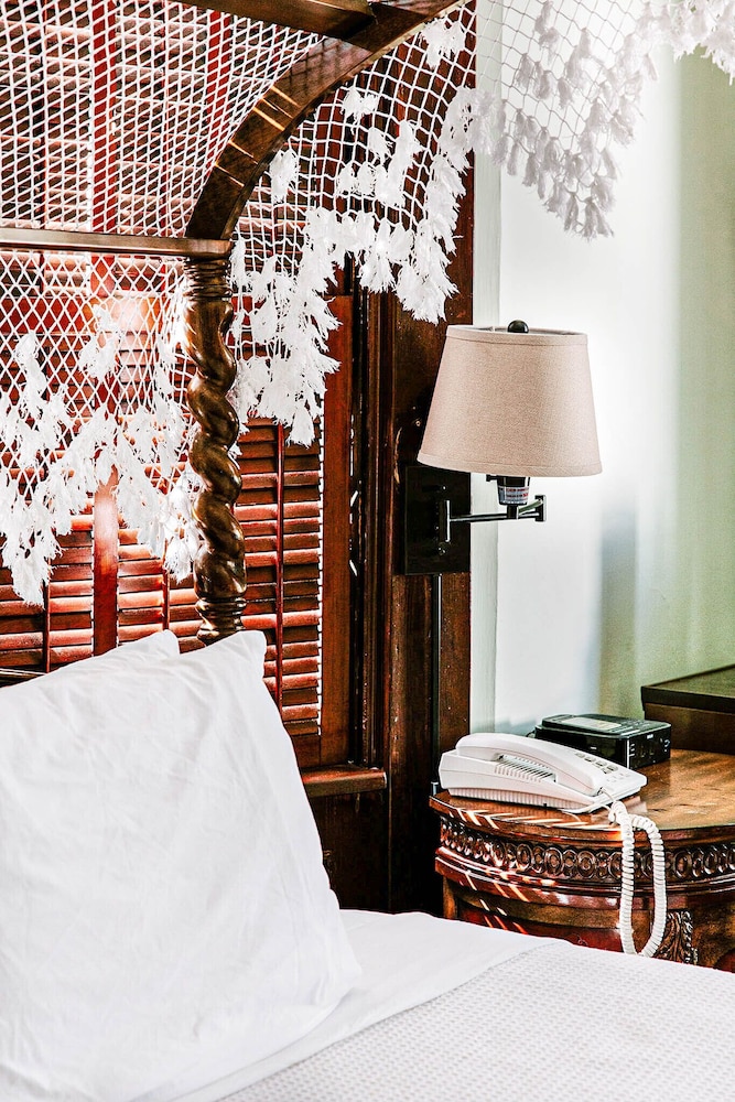 Amsterdam's Curry Mansion Inn - photo 20