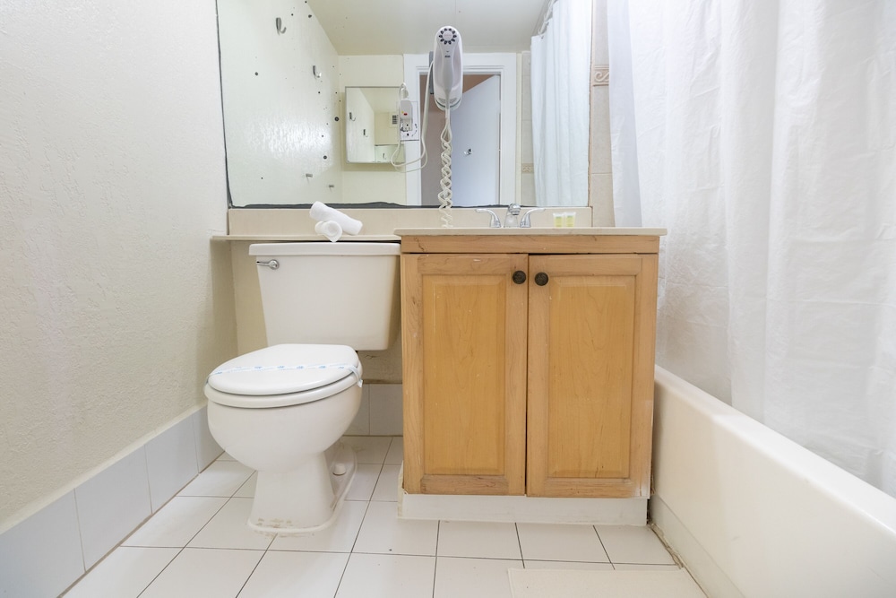 433 Studio Hollywood Beach Resort Hollywood - photo 18