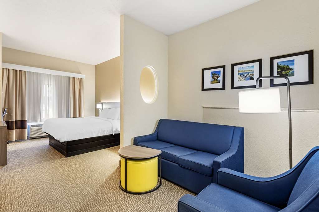 Comfort Suites Merrillville near US 30 - photo 25