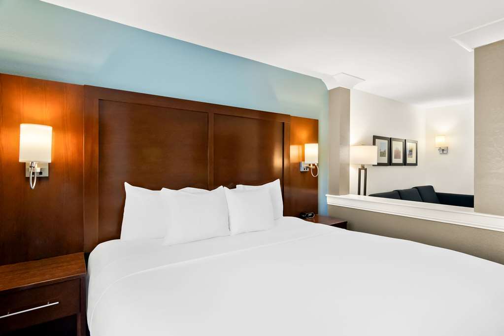 Comfort Suites Rensselaer near Fair Oaks - photo 25