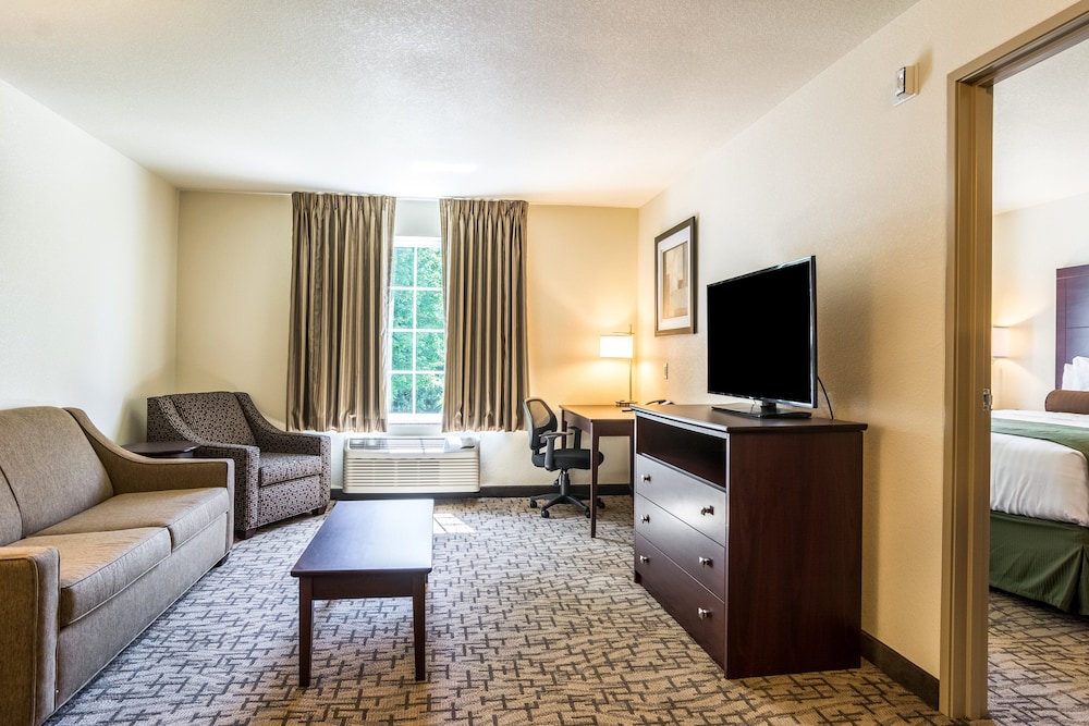 Cobblestone Hotel & Suites Greenville - photo 26