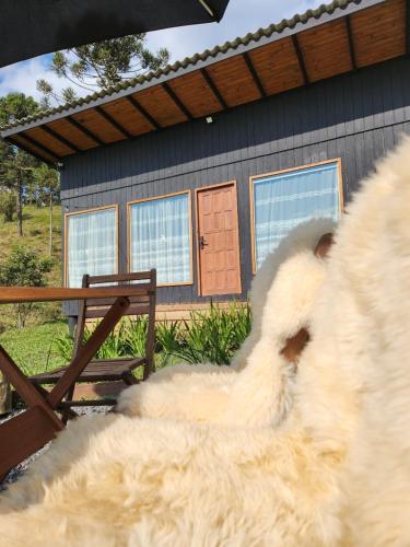 Colina Branca - last minute hotel in Unknown City