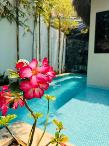 Oasis Villa a lado del mar — 4-Star Luxury Hotel in Brisas De Zicatela, Mexico