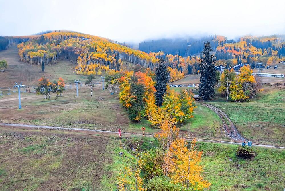 Highlands Slopeside by East West Hospitality - photo 309