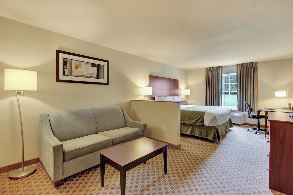 Cobblestone Hotel & Suites Waynesboro - photo 24