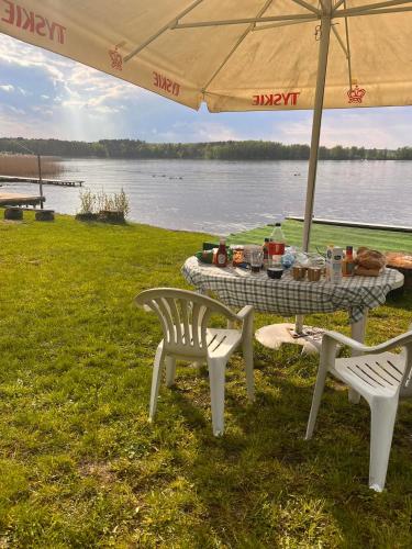 Camp Lesne Zacisze 19822433 — Piaski