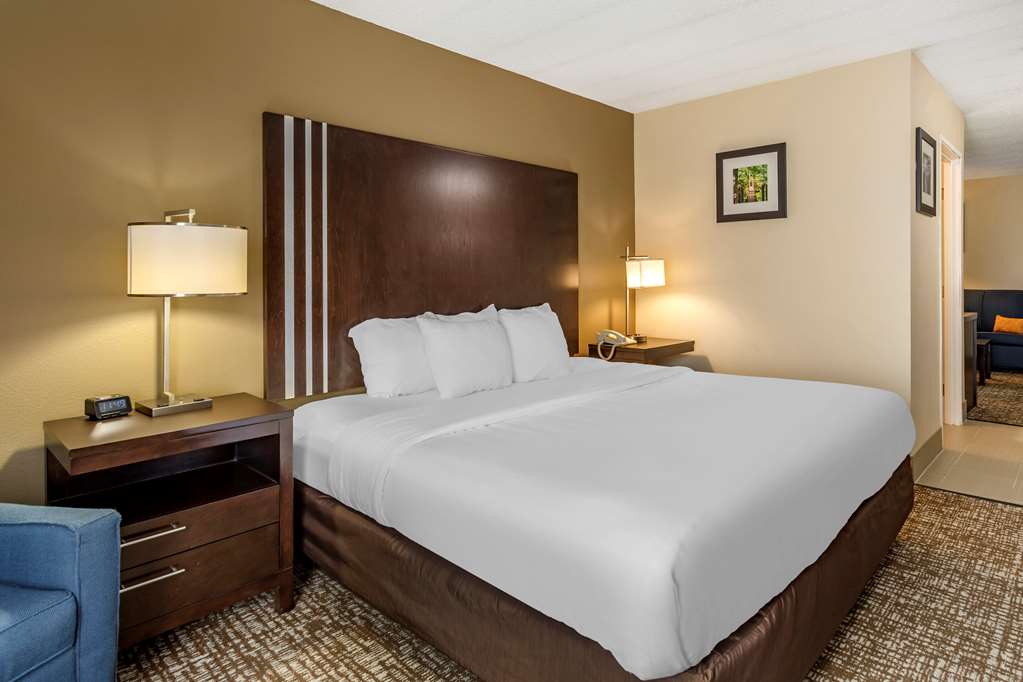 Comfort Inn Paducah I 24 - photo 30