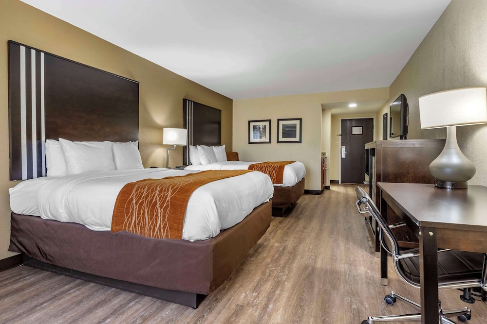 Comfort Inn Marion near Downtown & Blue Ridge PKWY - photo 21