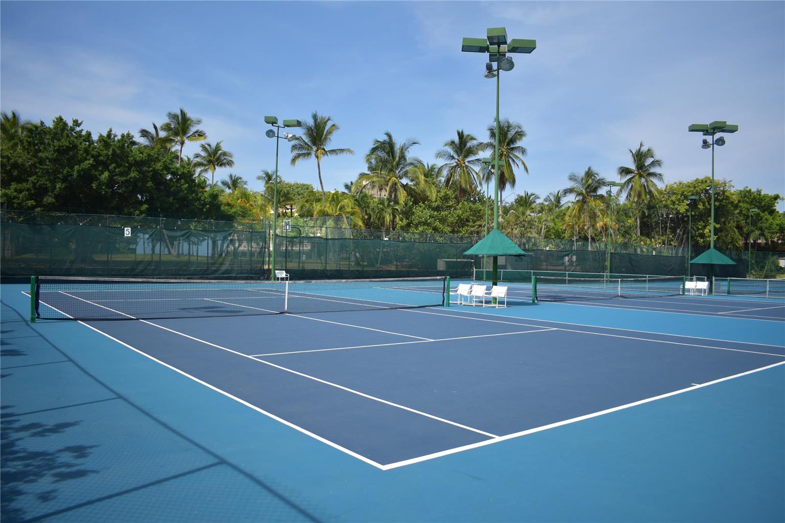 Tenis