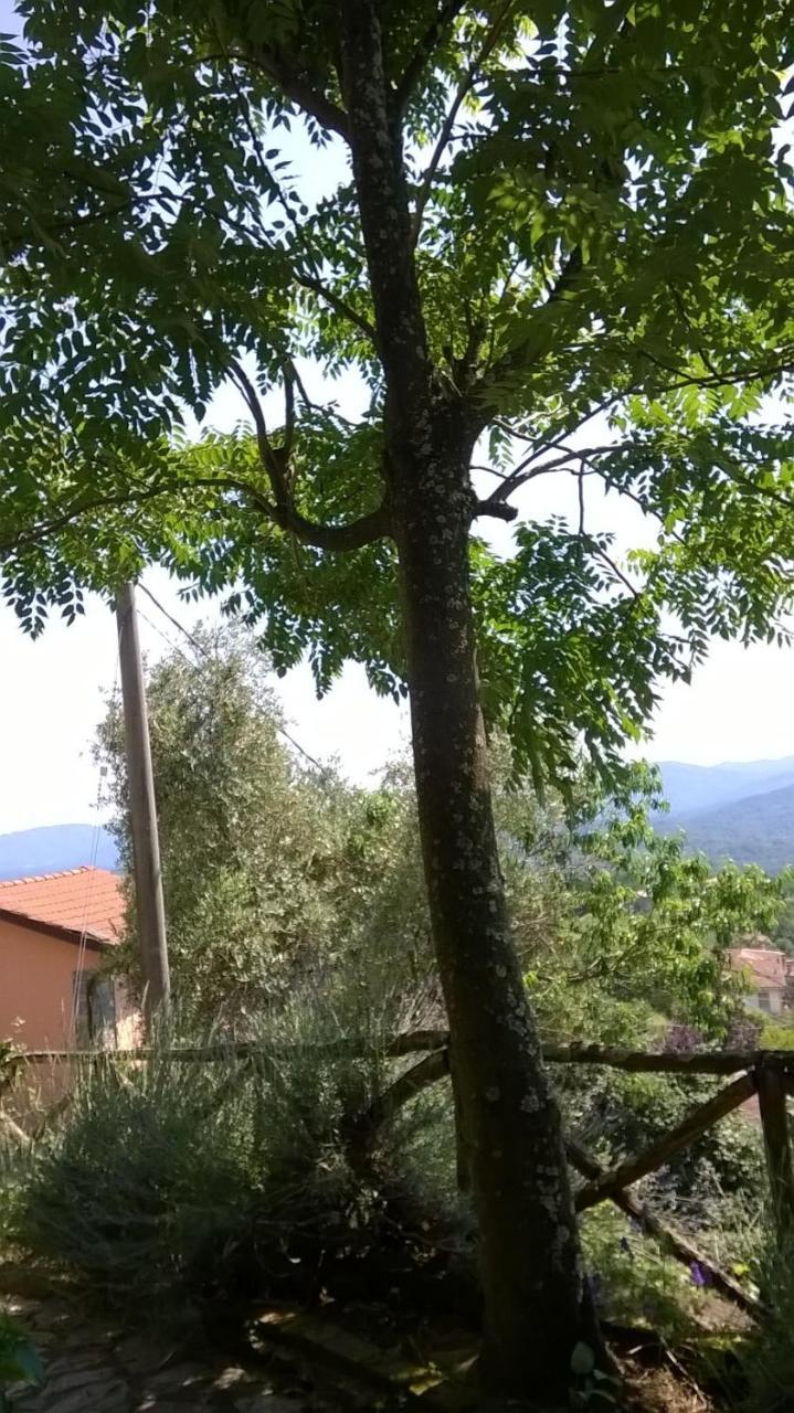 Ca' Rosmunda - last minute hotel in Bagnone