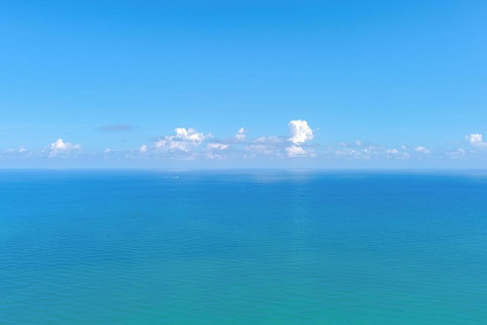 PRAIA Hotel Boutique Miami Beach - photo 120
