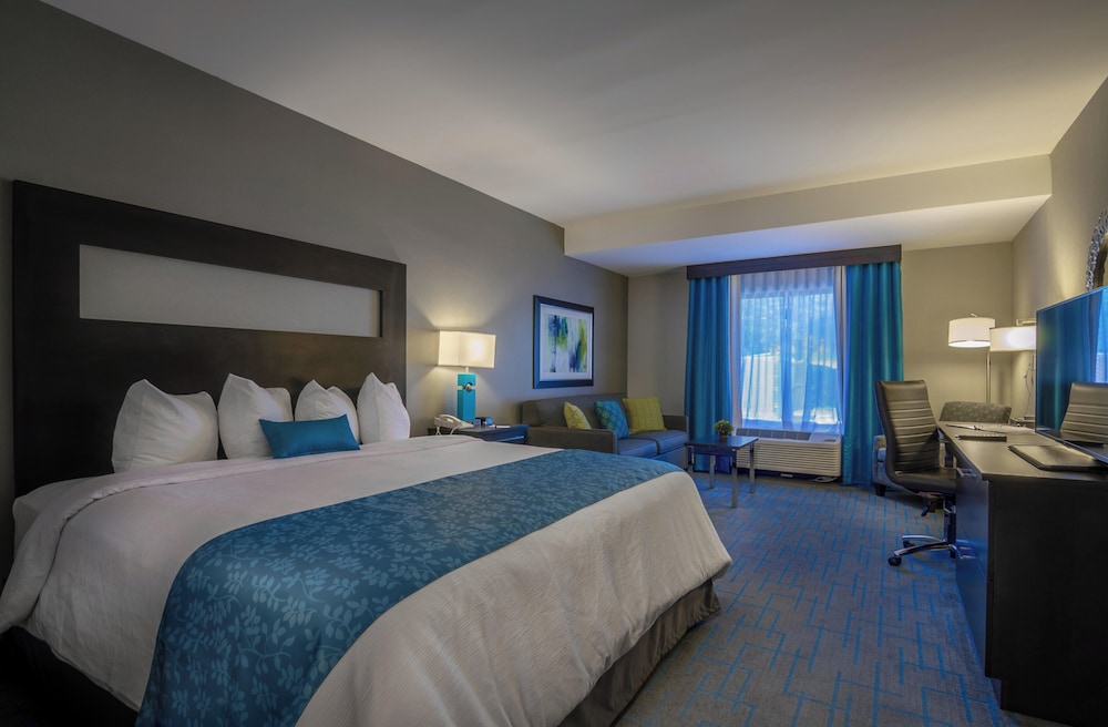 Holiday Inn & Suites Syracuse Airport Liverpool by IHG - photo 19
