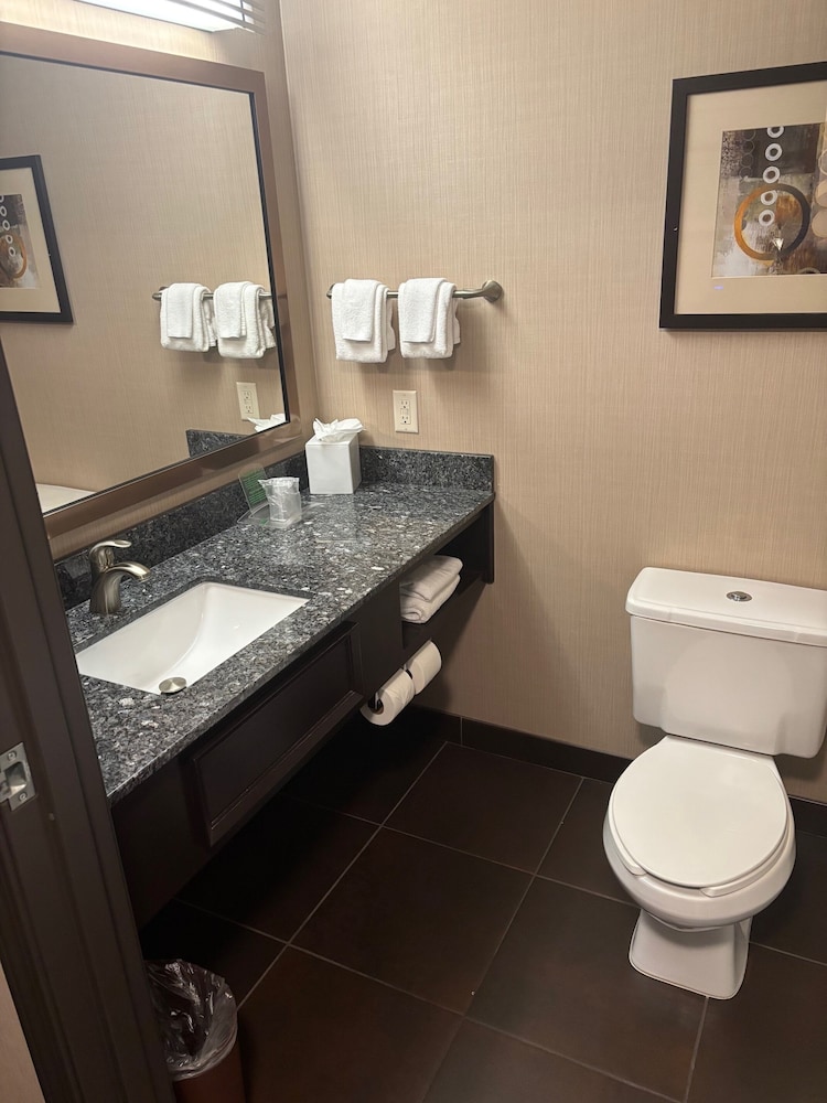 Holiday Inn South Jordan SLC South by IHG - photo 41