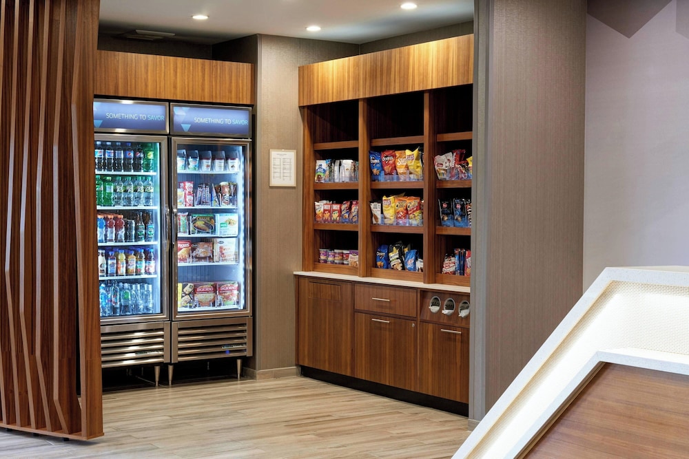 Springhill Suites Grand Rapids West - photo 22