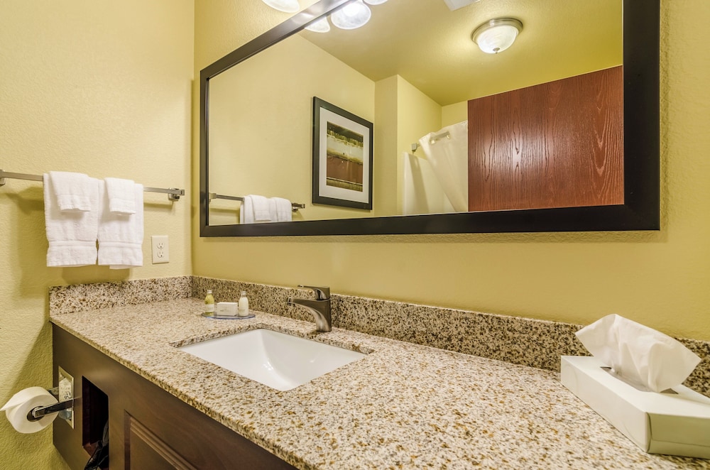Cobblestone Hotel & Suites McCook - photo 36