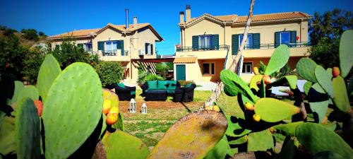 A casa d’Irene — Lixouri — photo 5