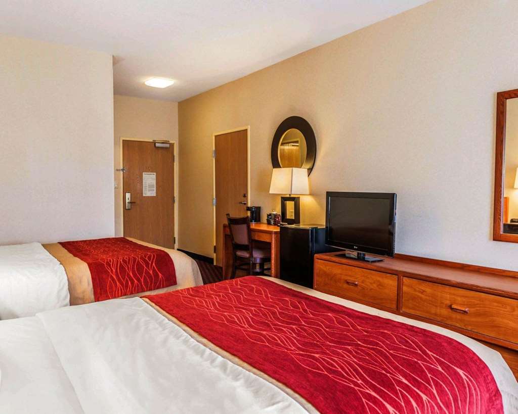 Comfort Inn Avon Indianapolis West - photo 11