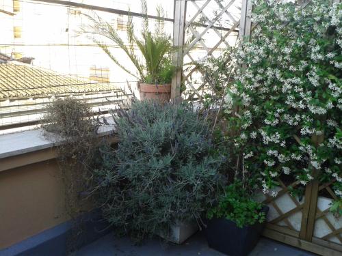 Chiara — 4-Star Luxury Hotel in Rome, Italy