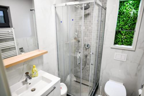 Baile Figa spa Cazare — Beclean — photo 2