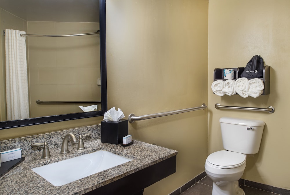 Embassy Suites by Hilton St. Louis Airport - photo 30