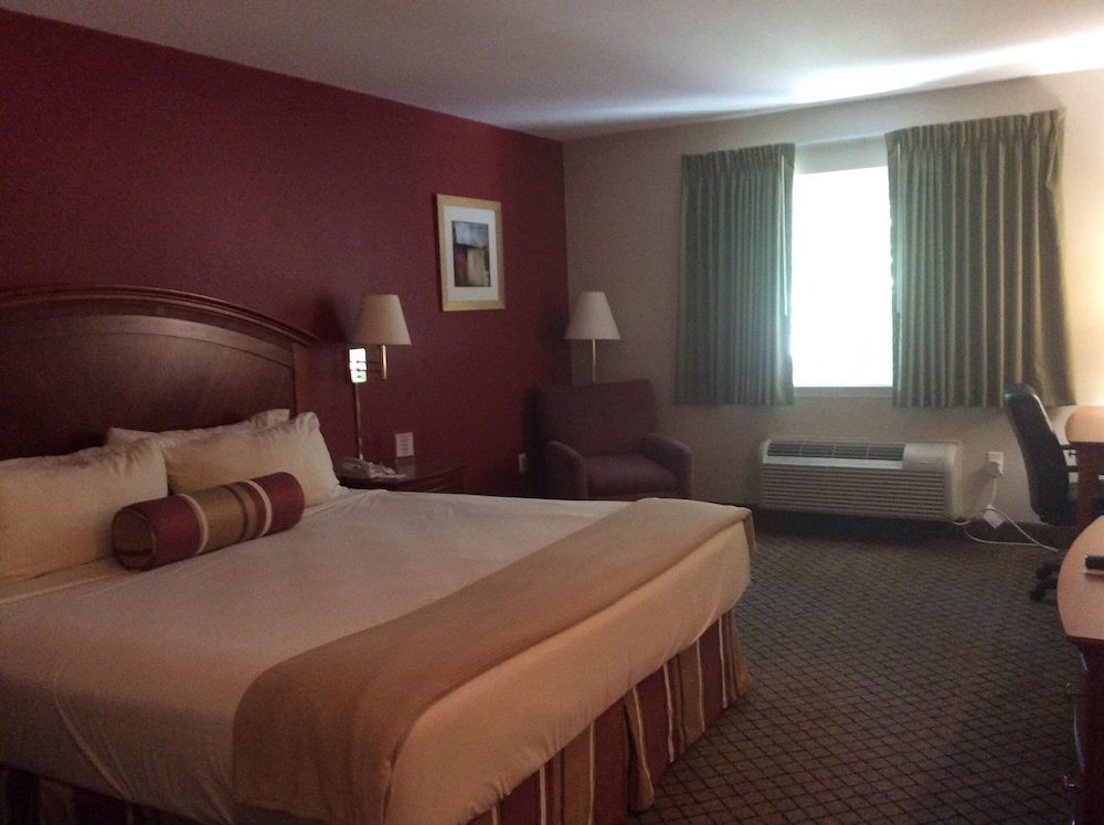 Riverside Hotel - photo 8