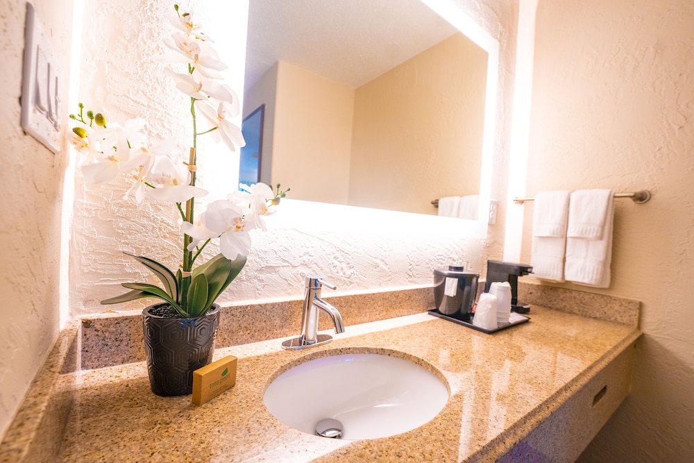 Mai Hana Hotel & Suites International Drive - photo 31