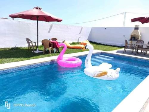 Dar yess in Unknown City, Tunisia