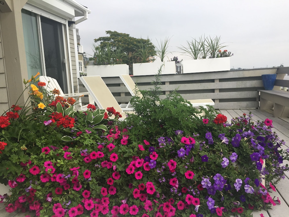 Dyer's Beach House - photo 19