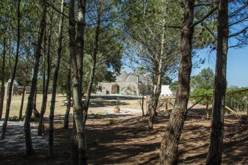 TRULLI CONTI Grande spazio alberato incontaminato prenotazione esclusiva in Cisternino, Italy