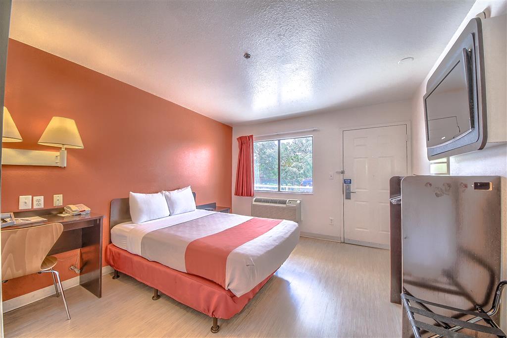 Motel 6 San Antonio TX Fiesta - photo 10