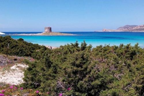 ClickSardegna Villa Regina Stintino sea view with pool and garden — 4-Star Luxury Hotel in Stintino, Italy