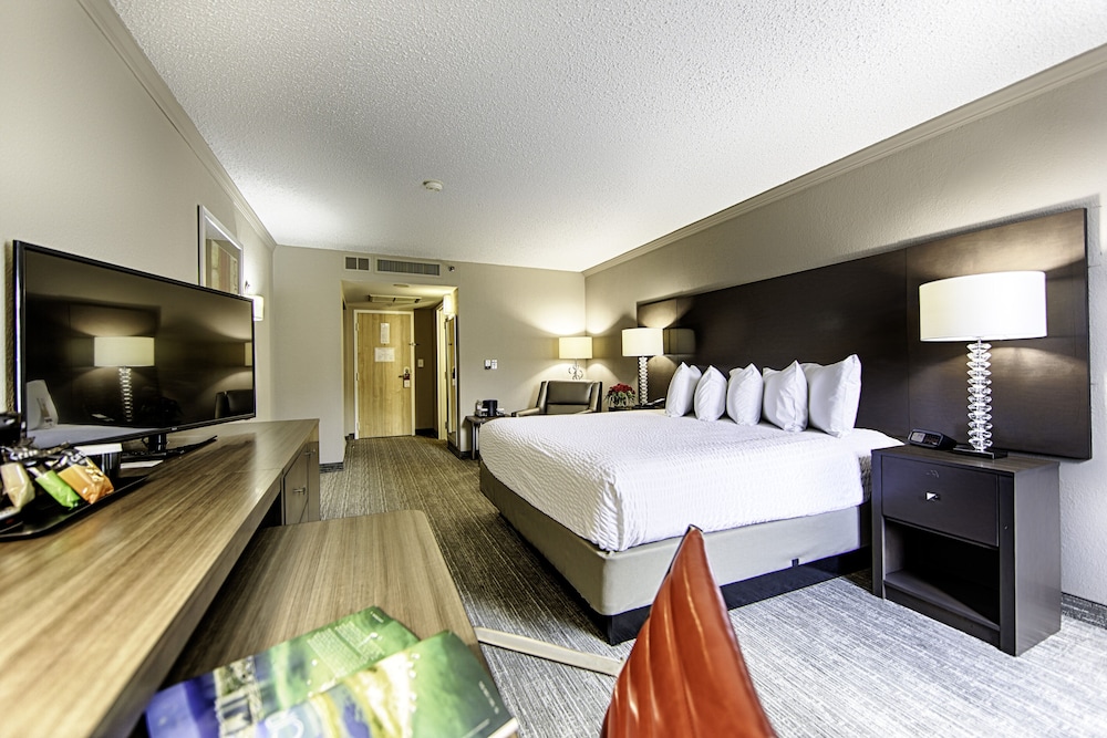 Hotel Capstone - photo 16