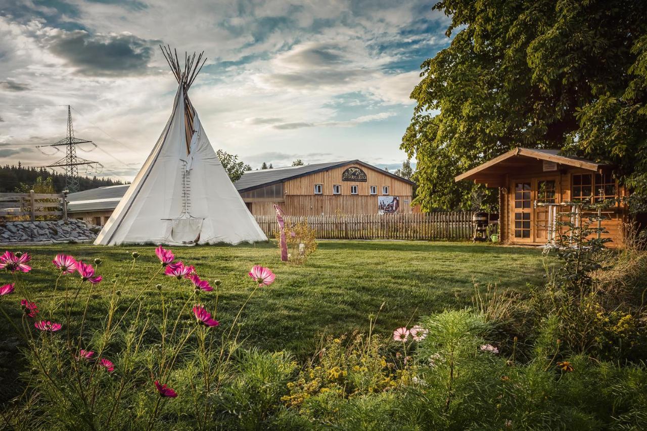 Ranchhouse Bubble Westernstable Horse - last minute hotel in Elterlein