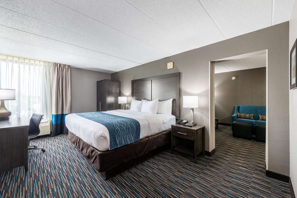 Comfort Inn Chicago Schaumburg O'Hare Airport - photo 23
