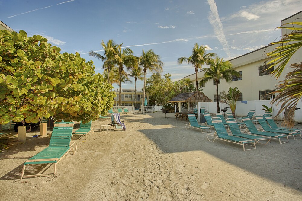 Coquina On The Beach - photo 31