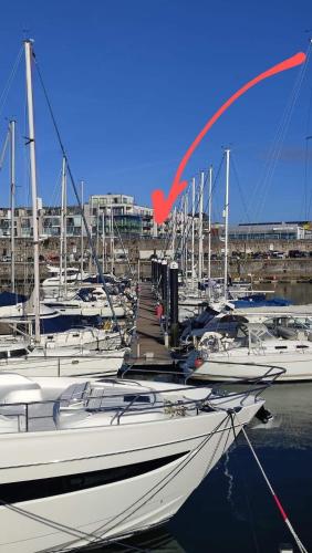 Lovely 1 Bedroom Apartment — 4-Star Luxury Hotel in Plymouth, United Kingdom