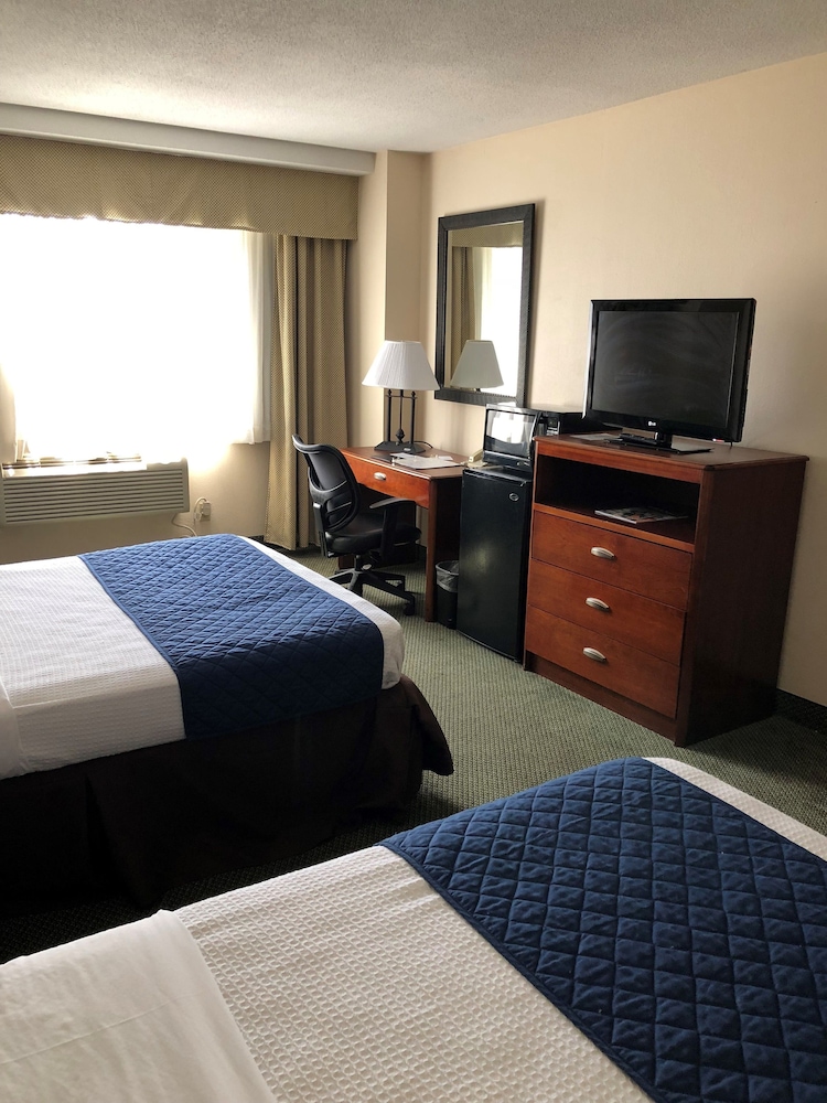 Capital Plaza Hotel - photo 13