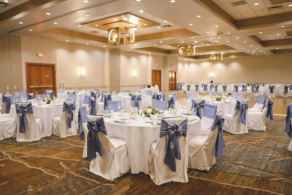 Chicago Marriott Southwest at Burr Ridge - photo 7