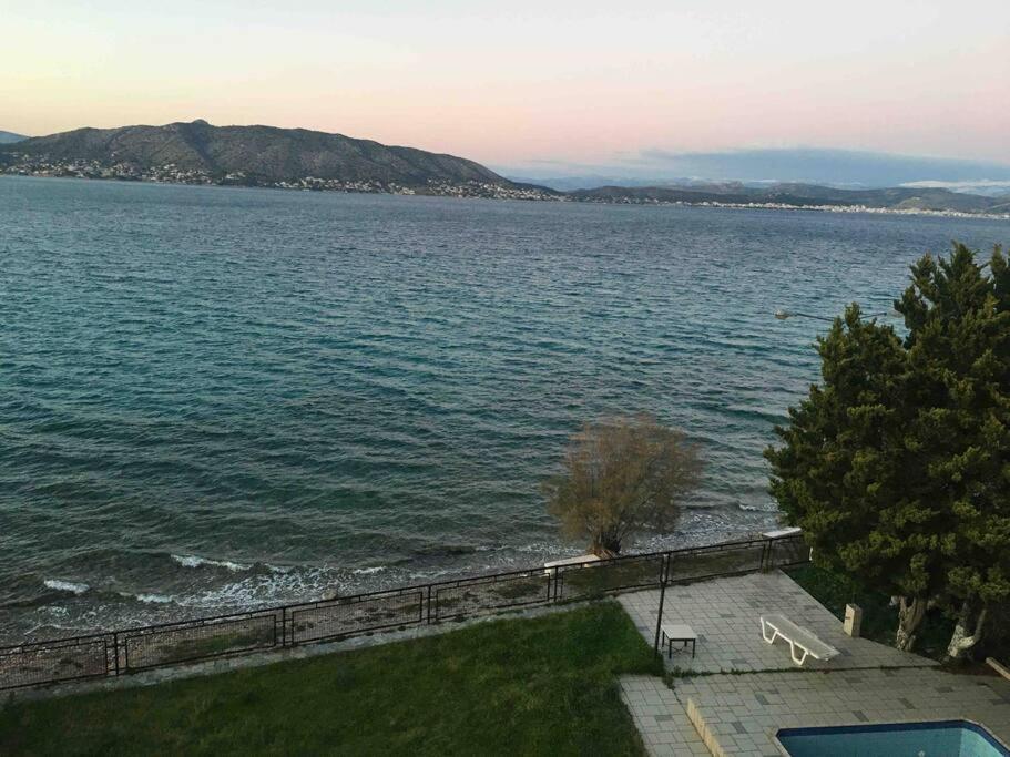 Sea View Luxury Apartment — Aianteio — photo 5