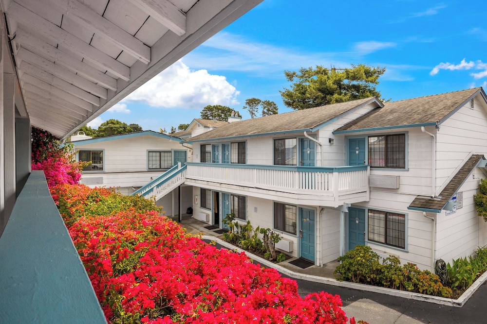 Arbor Inn Monterey - photo 44