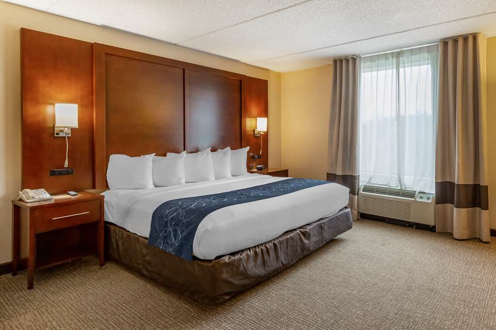Comfort Suites Manassas Battlefield Park - photo 38