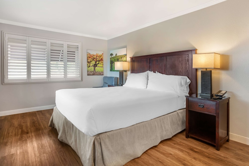 Dry Creek Inn MOD Collection by Sonesta - photo 26