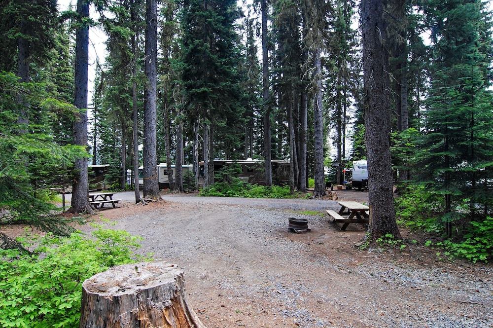 Shelter Cove Resort and Marina - photo 31
