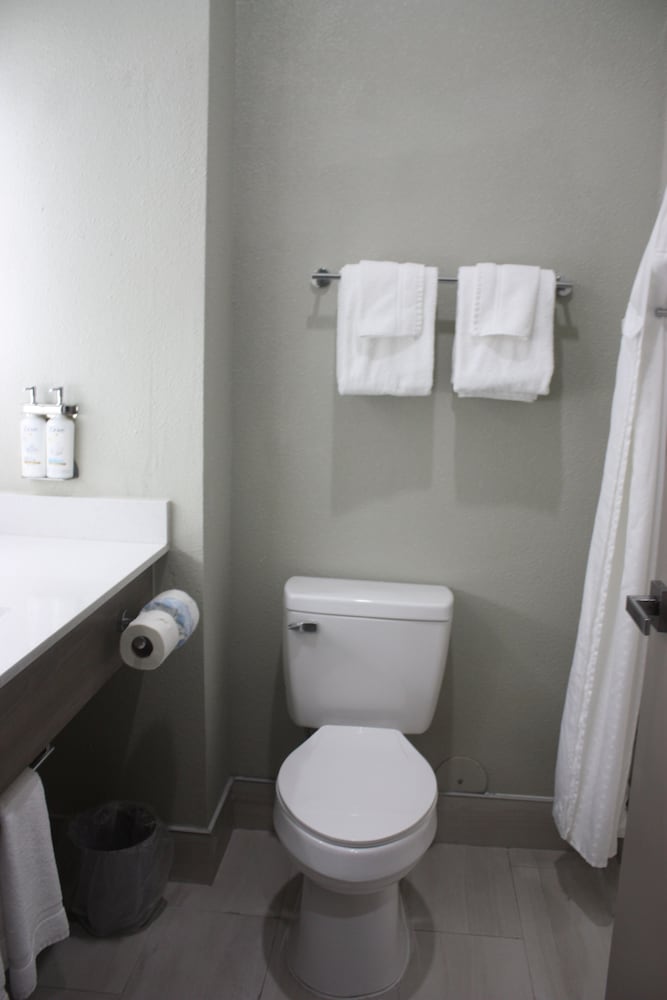 Holiday Inn Express Hotel & Suites Shamrock North by IHG - photo 41